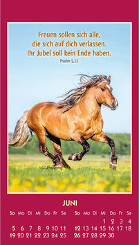 Innenansicht 6