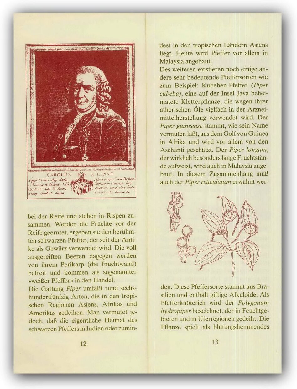 lesen