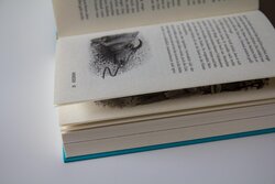 Innenansicht 9