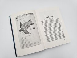 Innenansicht 8