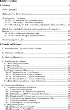 Inhaltsverzeichnis