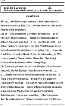Innenansicht 5