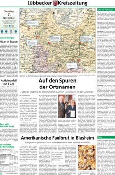 Beschreibung