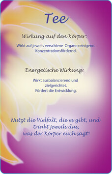 Innenansicht 3