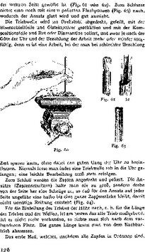 Innenansicht 7