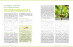 Innenansicht 4