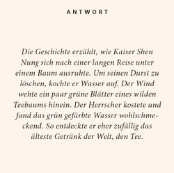 Innenansicht 2