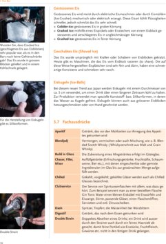 Leseprobe 2