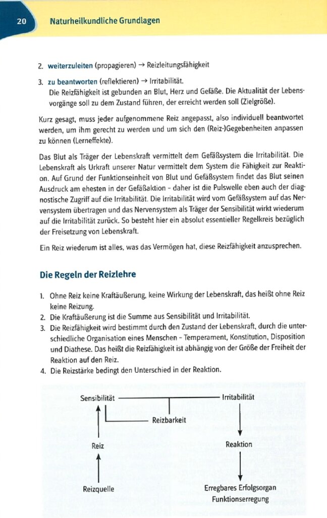 lesen