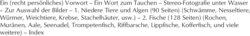 Inhaltsverzeichnis