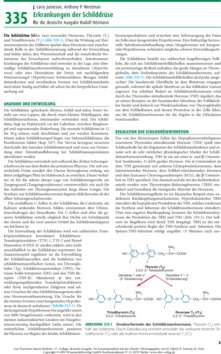Leseprobe 2