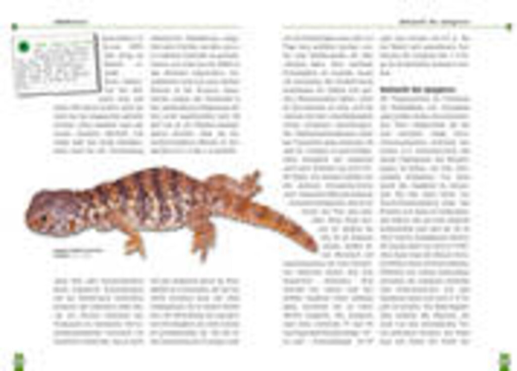 lesen