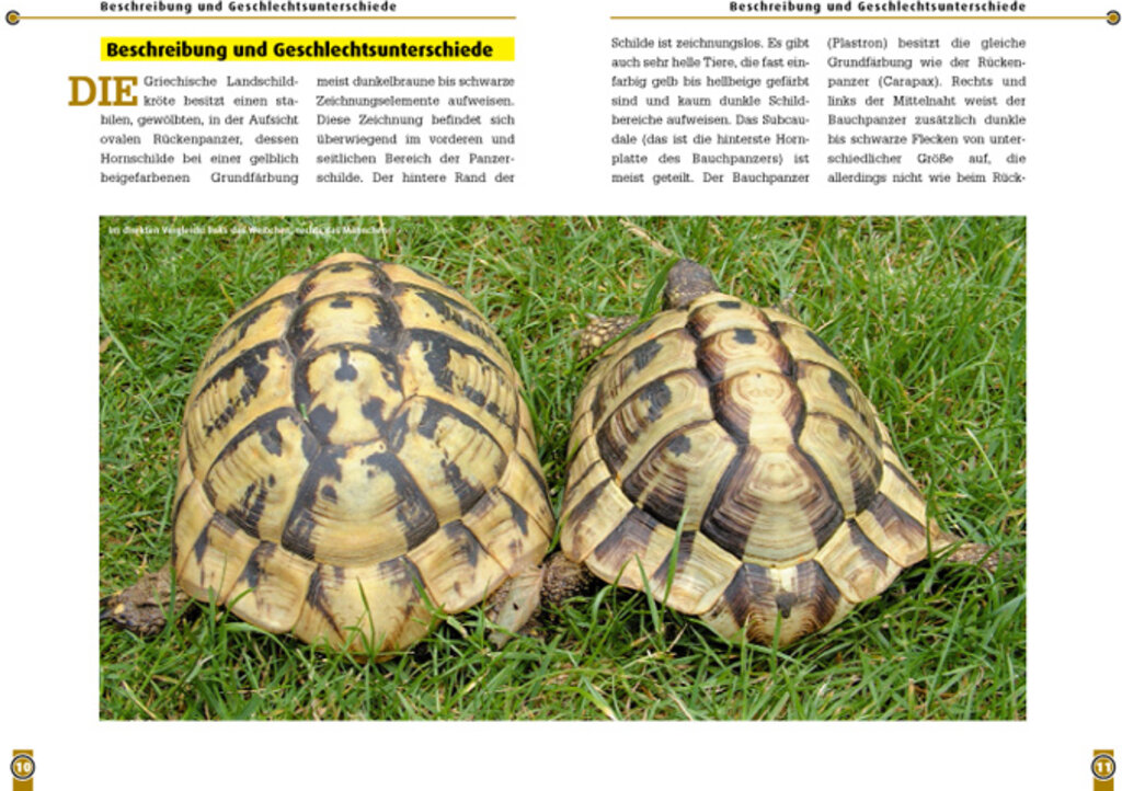 lesen