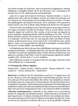 Leseprobe 2