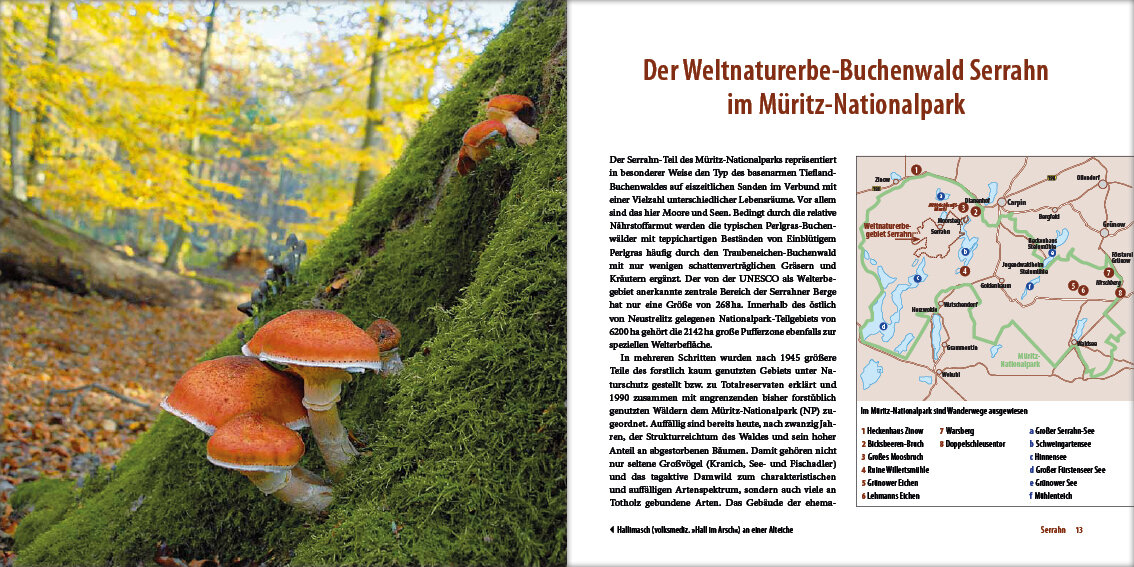 lesen