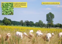 Innenansicht 5