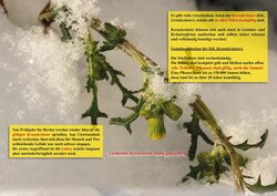 Innenansicht 7