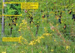 Innenansicht 15