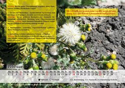 Innenansicht 19