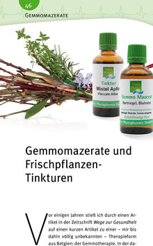 Innenansicht 9