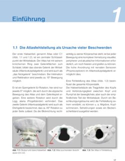 Leseprobe 1