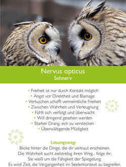 Innenansicht 4