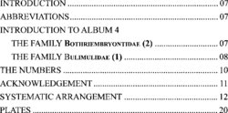 Inhaltsverzeichnis - Bothriembryontidae (2), Bulimulidae (1) - Volume 4.