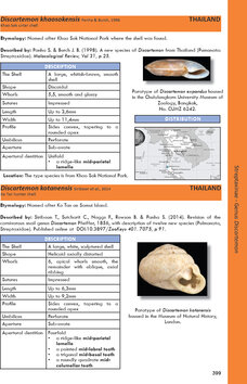 Innenansicht 7