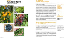 Innenansicht 7