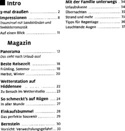 Inhaltsverzeichnis 1
