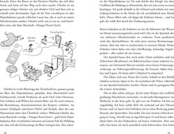 Innenansicht 1