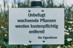 Innenansicht 4
