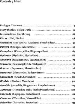 Inhaltsverzeichnis 1