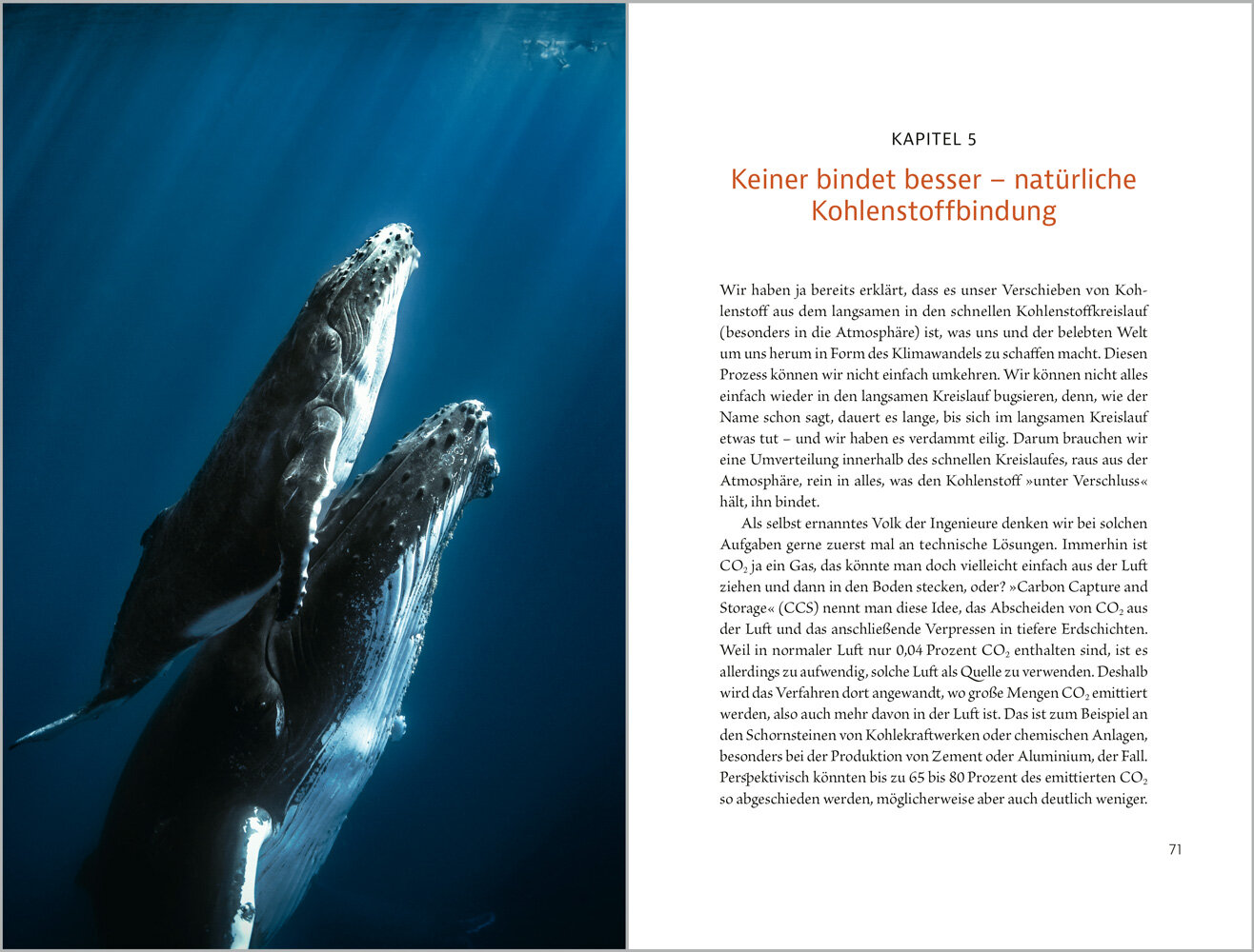 lesen