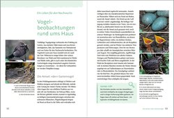 Innenansicht 1
