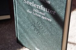 Innenansicht 4