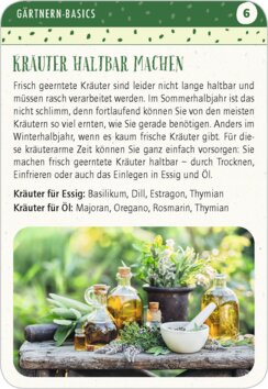 Innenansicht 1