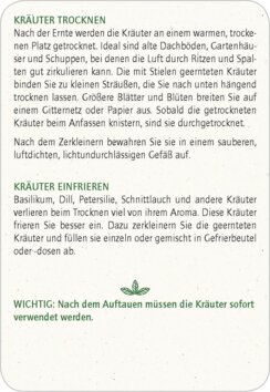 Innenansicht 2