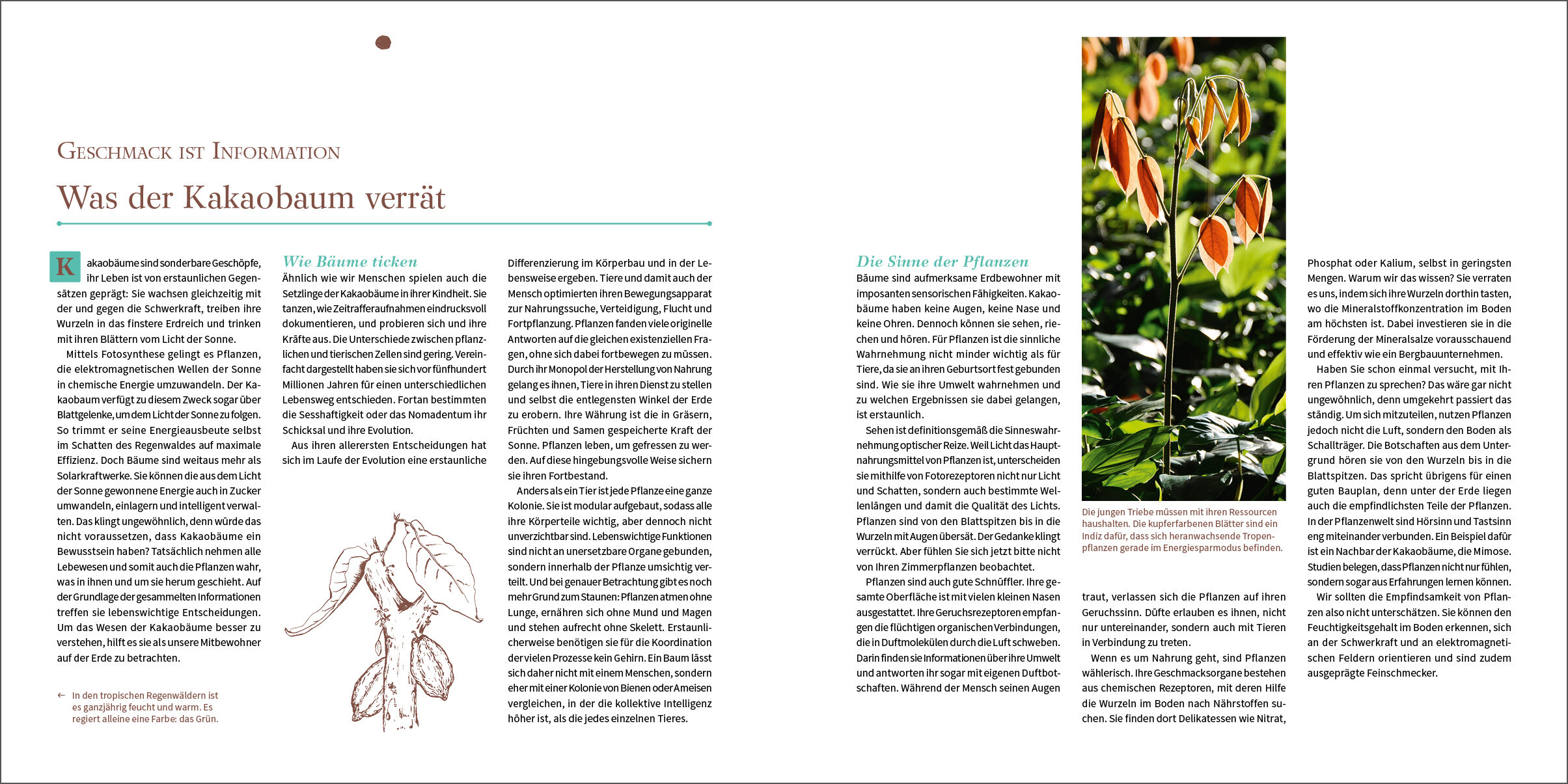 lesen