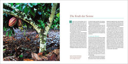 Innenansicht 8
