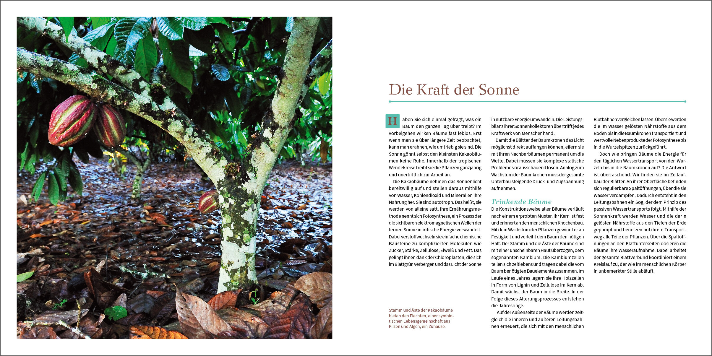 lesen