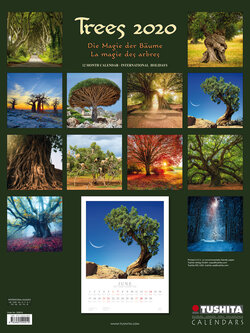 Backcover