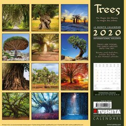 Backcover