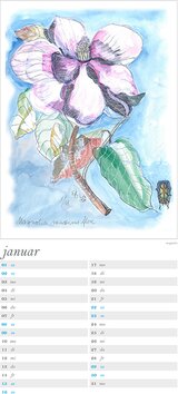 Innenansicht 3