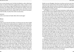 Innenansicht 7