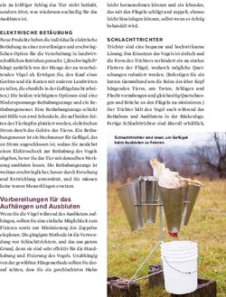 Innenansicht 2