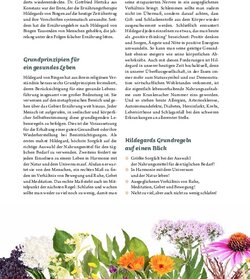 Innenansicht 5