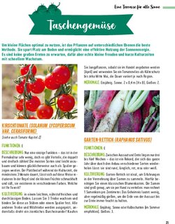 Innenansicht 5