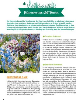 Innenansicht 11