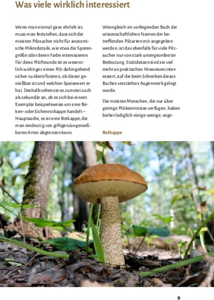 lesen
